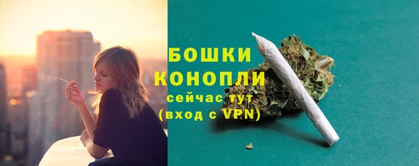 прущий лед Михайлов