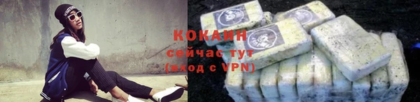дживик Анжеро-Судженск