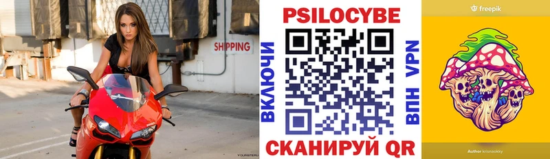 Псилоцибиновые грибы Psilocybe Петровск