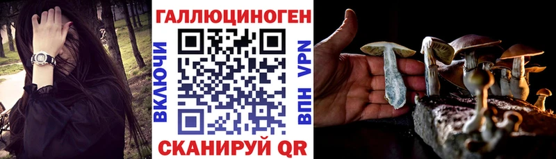 Псилоцибиновые грибы Cubensis  Петровск 