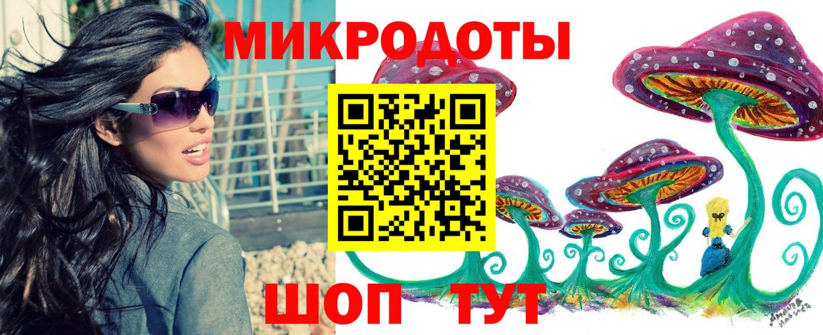Псилоцибиновые грибы Psilocybine cubensis Петровск