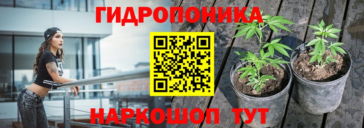 Бошки Шишки OG Kush  Бошки марихуана тримм  Шишки марихуана White Widow  Конопля VHQ  Петровск  Вход с VPN 